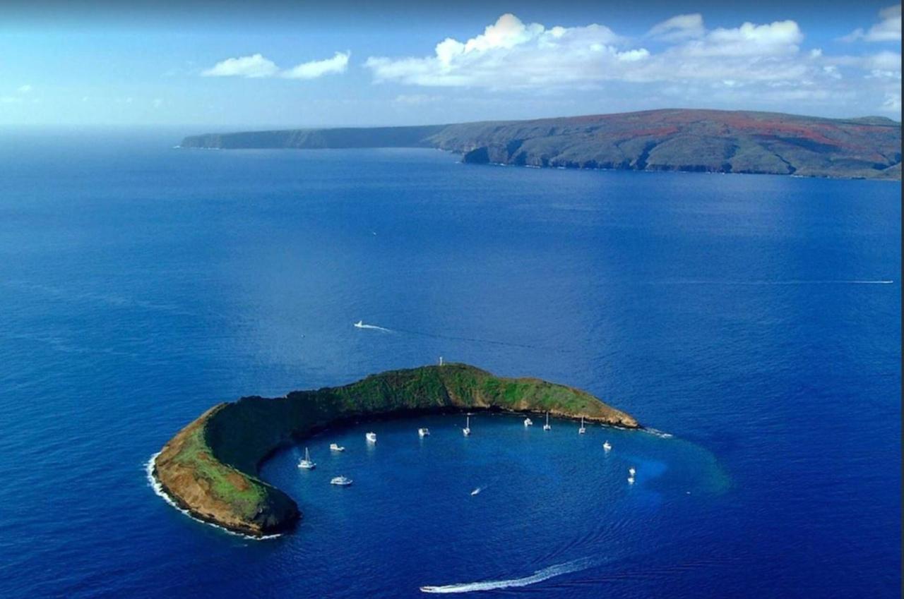 Апартаменты Tropical Maui Kamaole B-Bldg Уэйлея Экстерьер фото